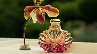 Lalique – Markenwelt / Moodbild