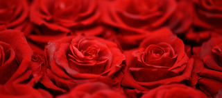 Valentinstag