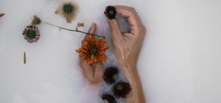 Soft Floral