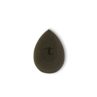 Complexion Sponge