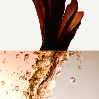 Santal Eau de Parfum