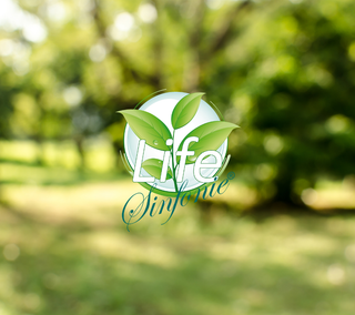Life Sinfonie – Markenwelt / Moodbild