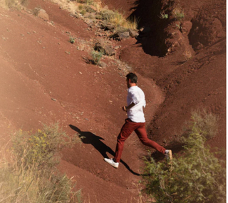 Maison Crivelli – Markenwelt / Moodbild