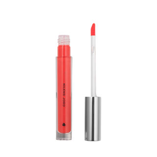 Glossy Lips Coral Peach (8302)