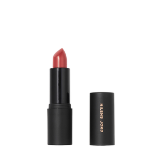Lipstick Cinnamon Red