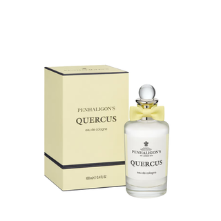 Quercus Cologne