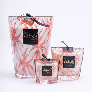 Ferns Red