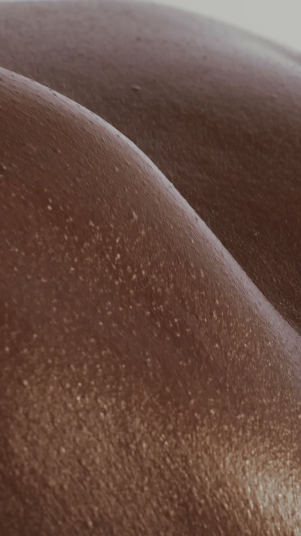 THE BODY OIL/Copy of Copy of Body Oil Reel_1.mp4