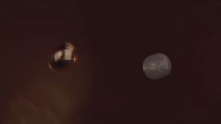 SERUM-XT_16x9_DE.mp4